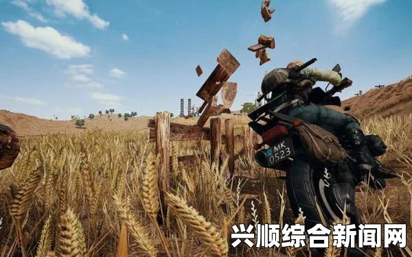 如何提升你的PUBG游戏技巧，轻松打破个人记录，成为战场中的高手——掌握策略与团队合作的关键秘诀