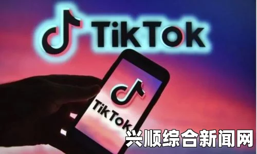 海外TikTok免费版加速器真的有效吗？探讨其真实效果与使用体验