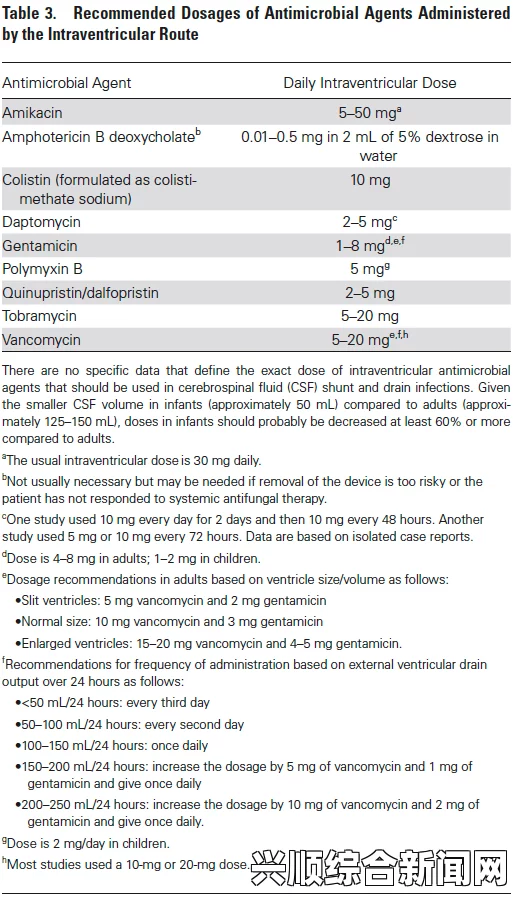 寮恒viii14may18XXXXXL编码背后的含义与实际应用：如何理解复杂产品标识系统及其影响及其在现代供应链管理中的重要性