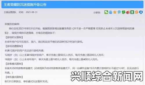 有效的汉字字符编码策略：提升信息传递效率与兼容性的研究探讨