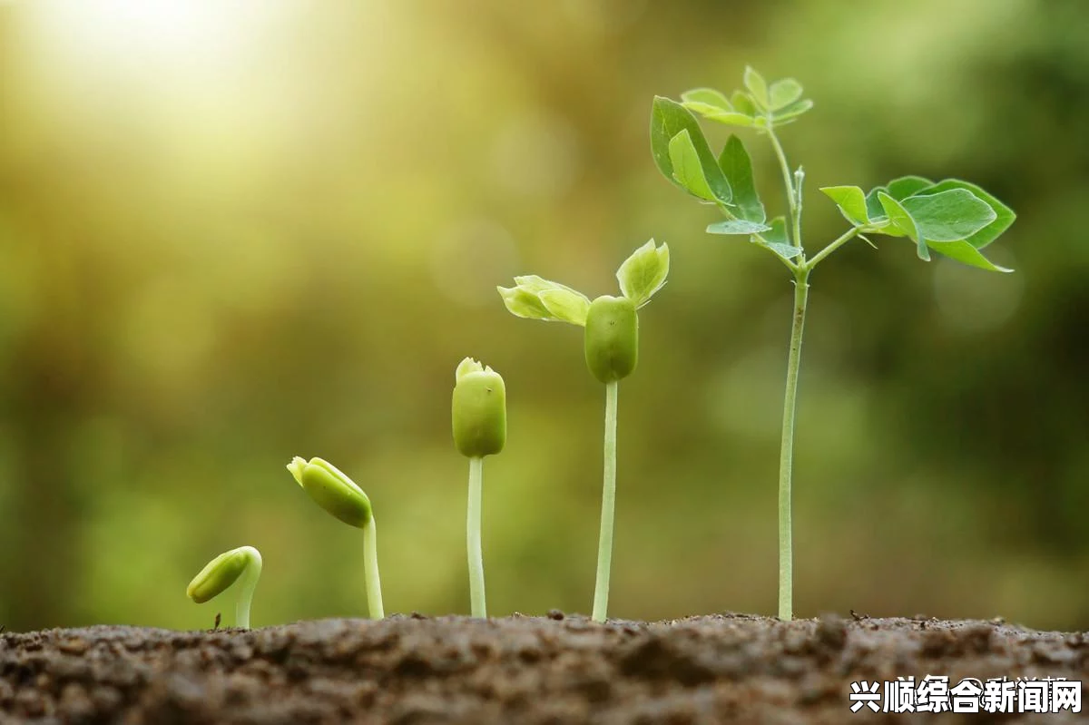 毛毛虫与蜜源植物之间的共生关系：从自然界启发我们的生态智慧，探索生态系统中的相互依存与可持续发展