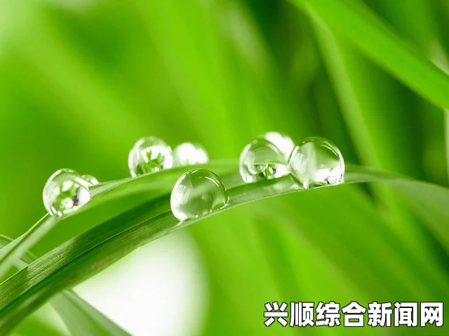 毛毛虫与蜜源植物之间的共生关系：从自然界启发我们的生态智慧，探索生态系统中的相互依存与可持续发展