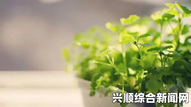 毛毛虫与蜜源植物之间的共生关系：从自然界启发我们的生态智慧，探索生态系统中的相互依存与可持续发展