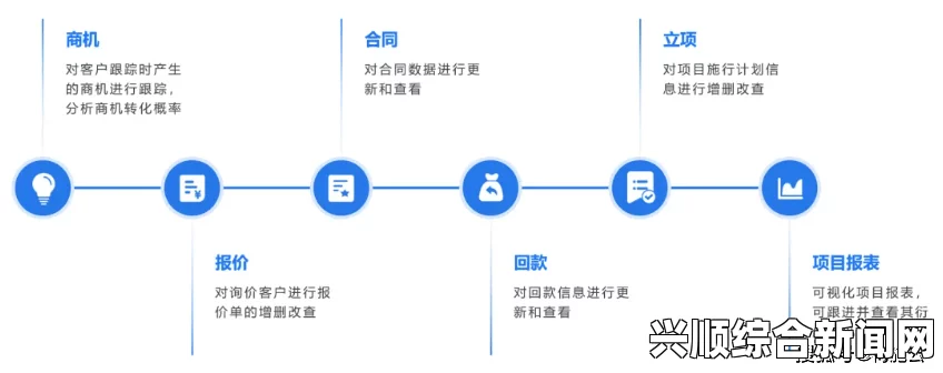 成人永久免费CRM系统，助力企业提升管理效率与客户关系的最佳选择——实现智能化管理与精准营销的理想工具