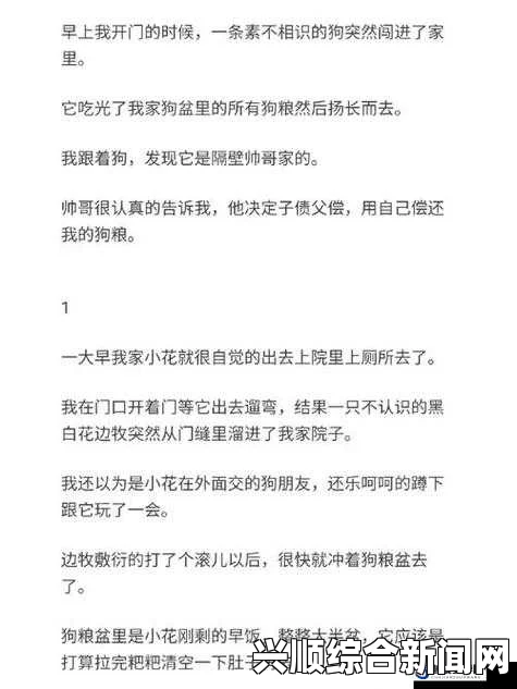 混乱小镇售票员与“b检票TxT”的神秘故事：解析小说中的悬疑与奇异元素，揭示隐藏在字里行间的真相与谜团