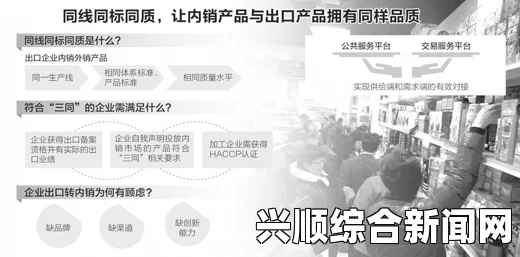 欧美精产国一二三类产品购买渠道全解析：从高端家电到日常生活用品，全面揭示购物技巧与平台选择