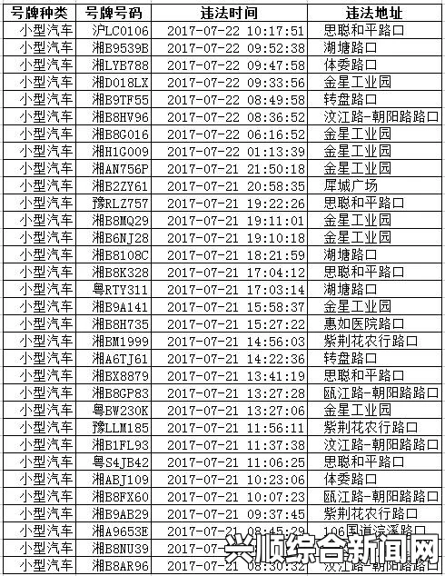 日本午夜电码免费精品红灯到底是什么？它对网络文化有何影响？——探讨其背后的社会现象与文化意义