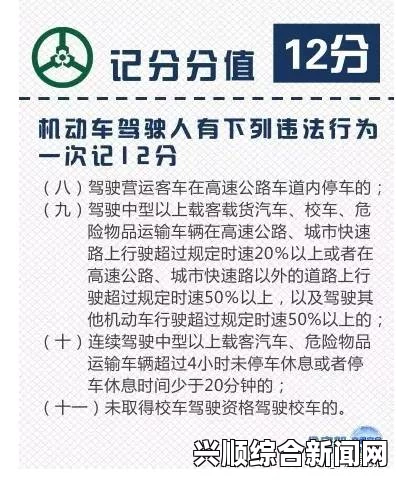 日本午夜电码免费精品红灯到底是什么？它对网络文化有何影响？——探讨其背后的社会现象与文化意义