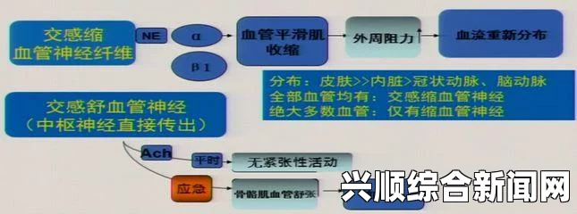 如何理解“性生生活性生交A级”？探索现代社会对性与情感关系的全新定义——揭示当代年轻人的情感观与价值观变迁