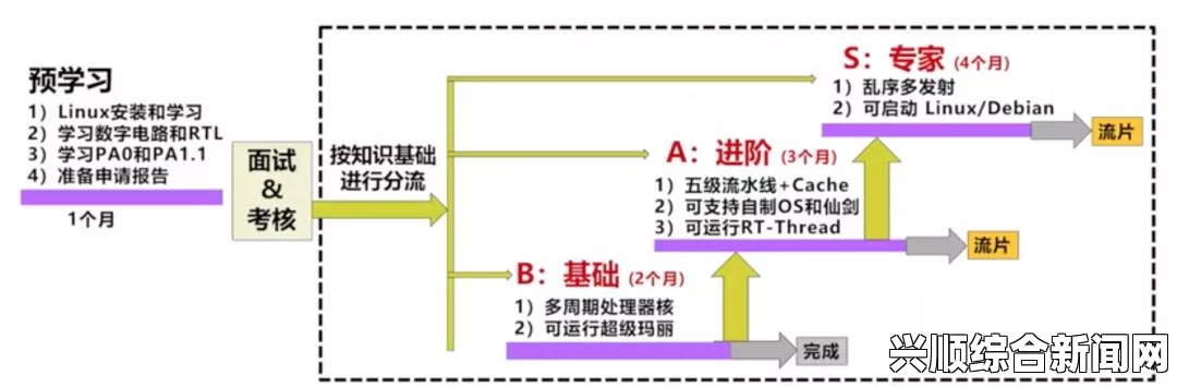 如何进行高效的流片教学：从选择工具到优化观看体验，你需要知道的一切——提升学习效果与参与感的全面指南