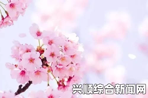 樱花影视剧免费在线播放，畅享精彩剧情与丰富内容，无需注册即可观看，尽情体验多样化的影视盛宴！