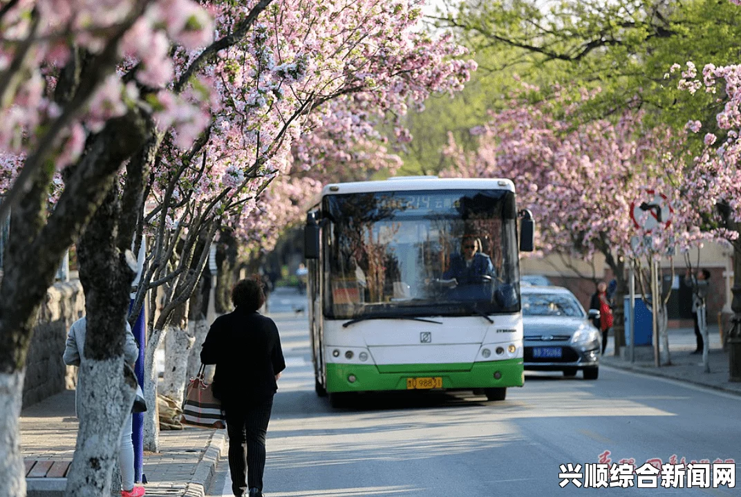 公交车诗晴1~18：公交车上的那些未曾说出的故事与感悟，记录生活中的点滴温暖与思考