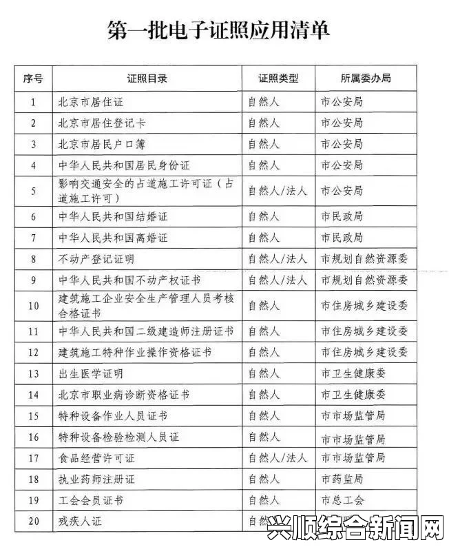 日本无人区的码制究竟如何？一码、二码、三码的含义究竟是什么？——深入解析日本无人区的编码系统及其应用