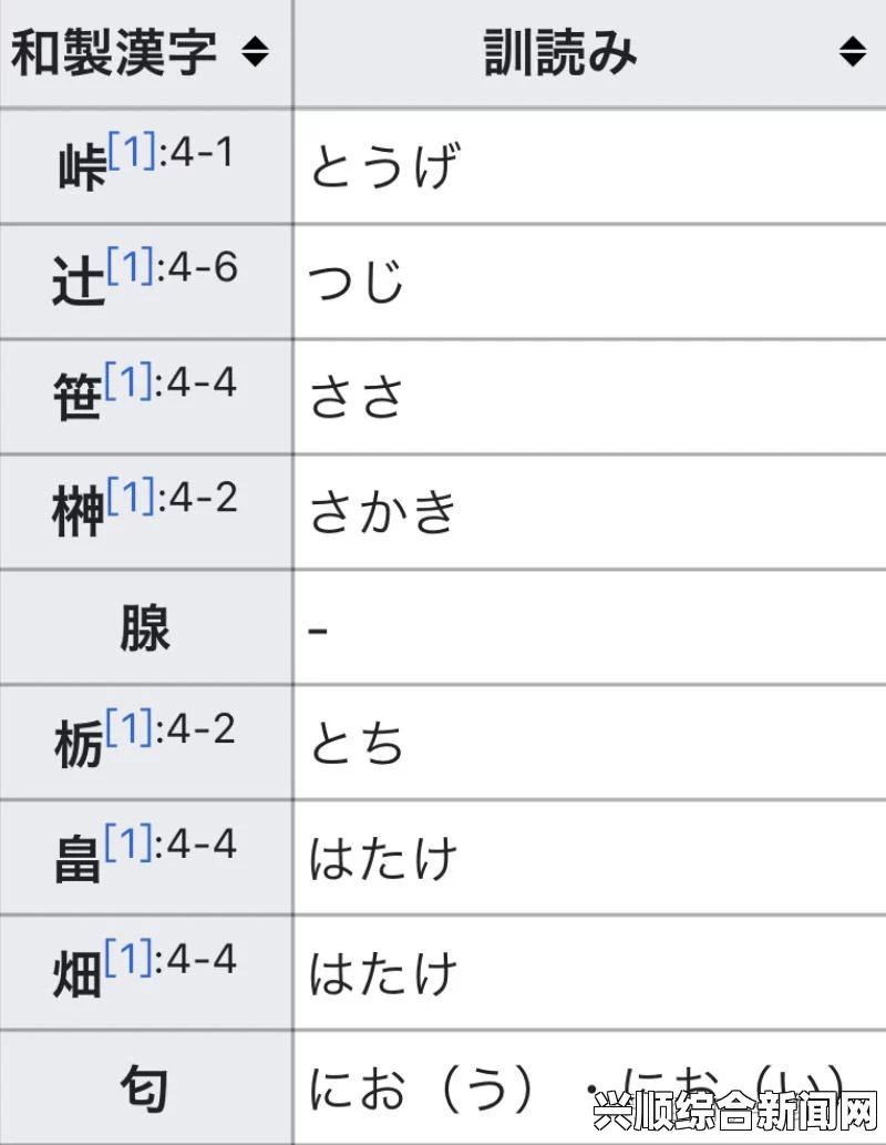 日本尺码一区、二区、三区之别，中文汉字如何对应？探讨不同尺码的具体含义与应用