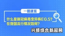 国精产品一区二区三区的使用方法及其注意事项，教你正确操作让效果更佳，提升使用体验与效果的全面指南