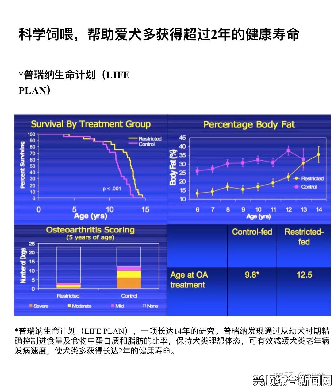 狗狗胶质配方20分钟见效，提升宠物健康的最佳选择：如何科学搭配营养补充剂，助力爱犬活力与免疫力双提升