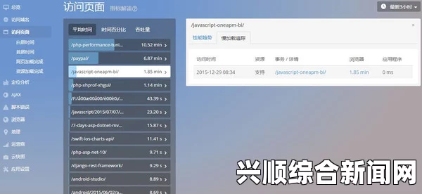 成品网站1.1.719版本深度解析：功能优化与用户体验提升的全面升级，探索新特性与应用场景