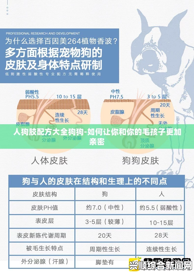 狗和人胶配方20分钟制作：如何选择适合狗狗的胶原蛋白产品？让你的爱犬健康快乐，焕发活力！