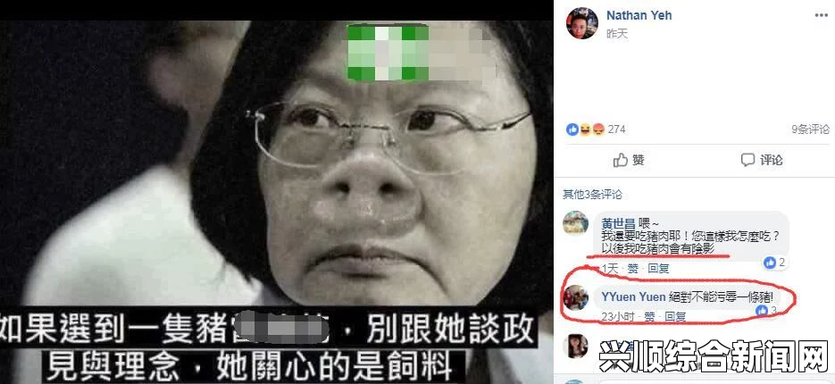 民调背景分析