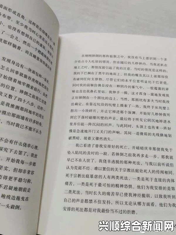 《我的巨峰很软》最新小说深度解析：揭示人性的复杂与情感的多样性，探索内心世界的挣扎与成长