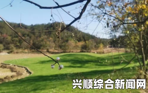 山村春情：感受自然魅力与乡村生活的和谐美好，畅享田园风光与心灵宁静的完美结合