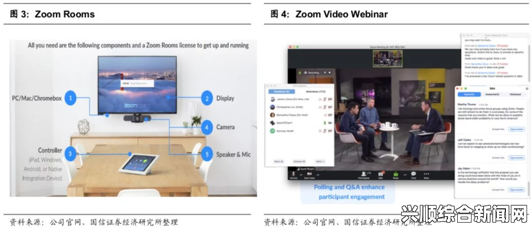 Zoom与动物Zoom：从远程沟通到野生动物直播的全面解析——探索数字化时代下人与自然的连接方式