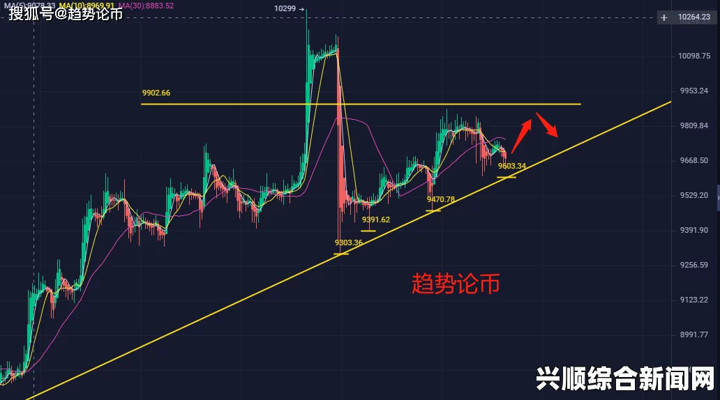 有色行情100款火爆产品，为何如此受欢迎？探秘背后的市场趋势与消费者心理