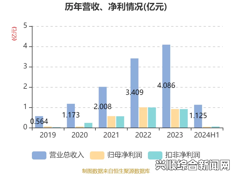 成品网站1.1.719版本分析：功能、优势及其市场价值及其对行业发展的影响与前景展望