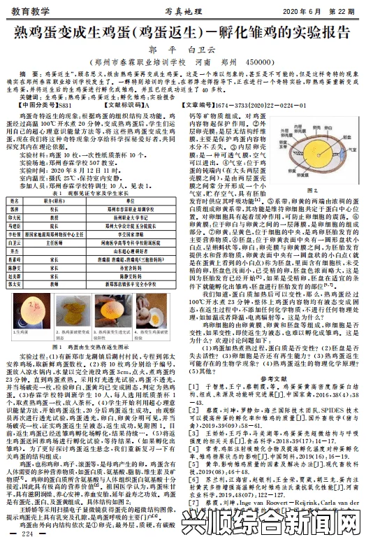 “熟老太HDt∪be”平台如何持续吸引不同用户？探讨平台内容和创新的未来发展趋势：分析用户需求与技术进步的结合