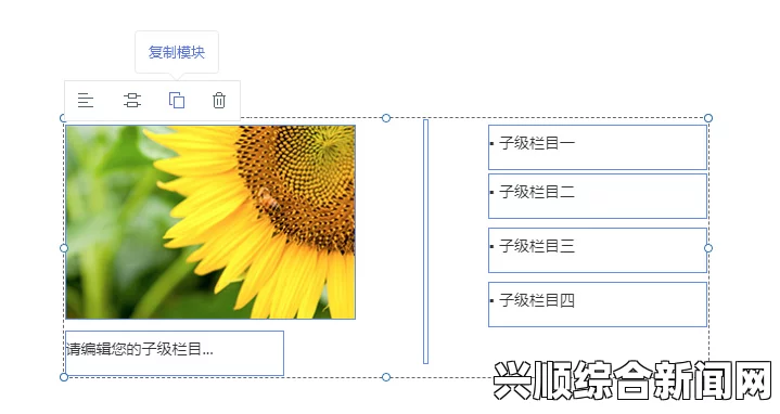 成品网站1.1.719：如何提升你的建站效率与网站性能？探索最佳实践与实用技巧