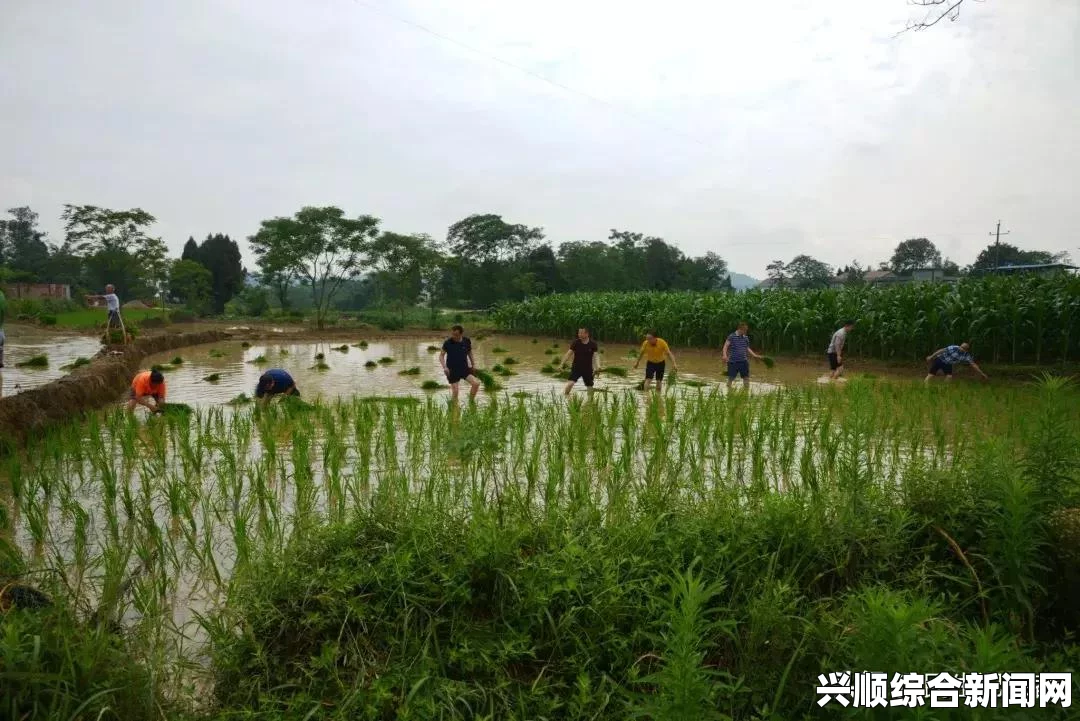 混幺九是什么？深入了解混幺九的含义和应用，带你全面解读其背景与文化——探索这一传统游戏的魅力与技巧