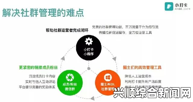 如何有效进行社群审查？掌握这些关键策略，提升社群管理效果，实现更高的用户参与和满意度