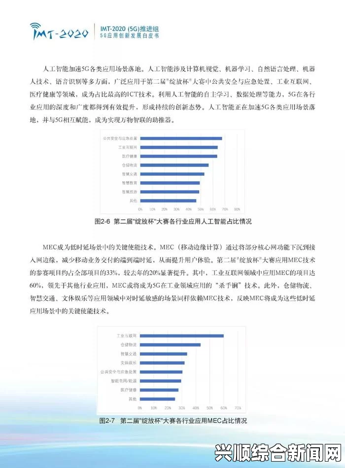 总结：18_XXXXXL56HG在多个领域的应用及其潜在影响与前景分析