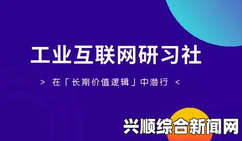 数字91如何影响互联网发展：从应用到营销的全面解析及其对未来趋势的深远影响