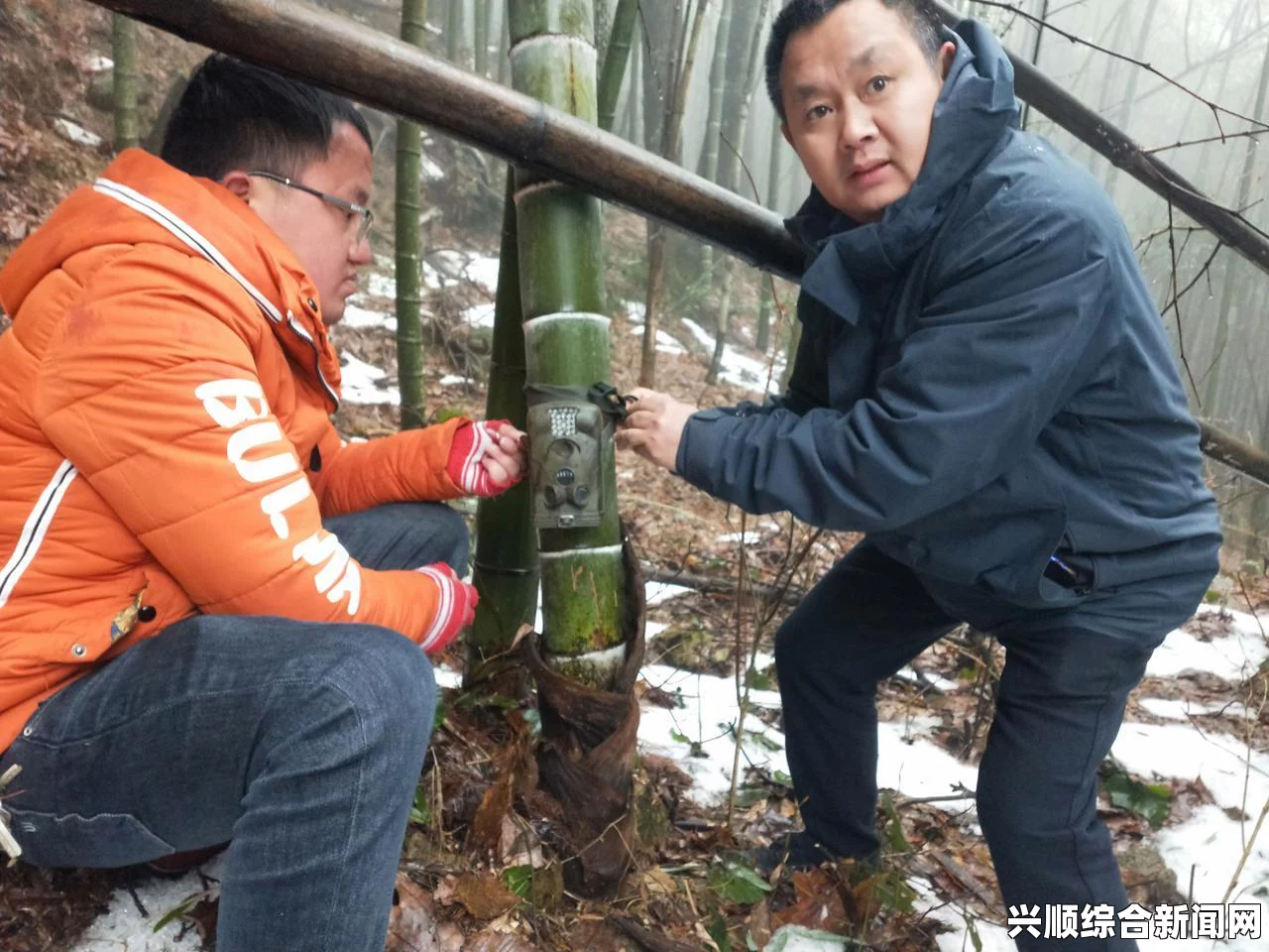 西班牙华人烹餐引爆林中突发 起引来未预见纵火罪指控