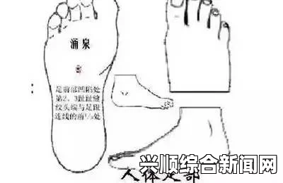 为何抬高腿部能缓解疼痛？探讨其生理机制与效果