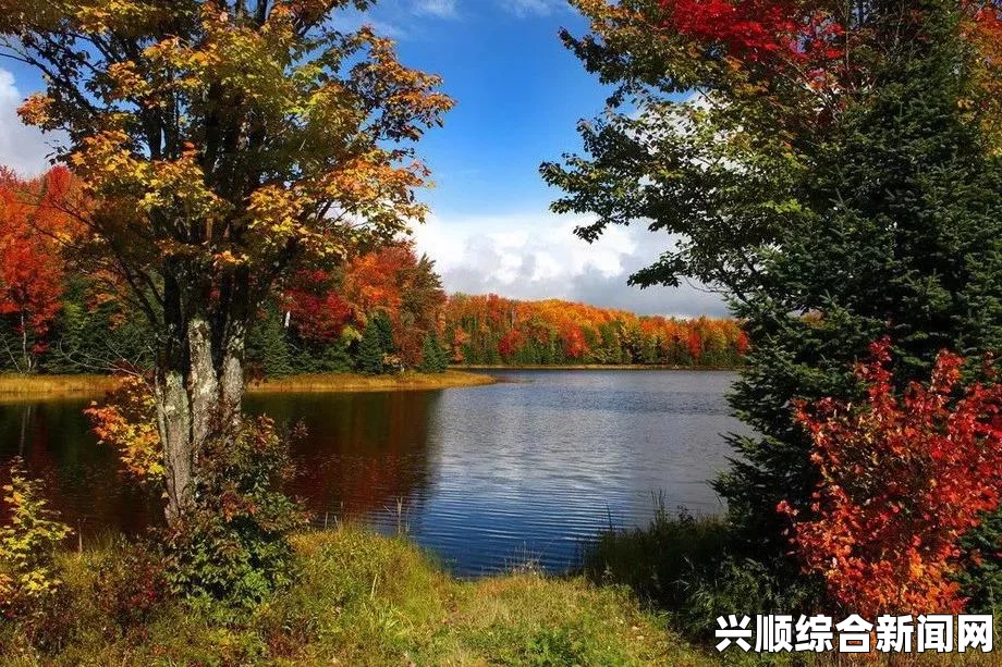 如何找到适合自己的视频资源？大地资源二中文高清平台全解析：观影体验与资源推荐，助你轻松享受优质影视盛宴