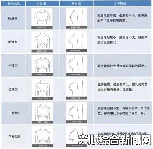 欧洲尺码与亚洲尺码差异解析，帮助你选择合适的尺码——了解不同地区尺码标准的重要性