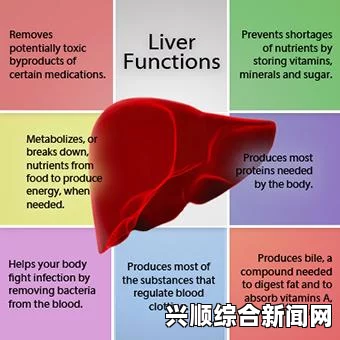 每天吃我小花园不会伤肝，科学分析性生活对肝脏的影响：探讨健康饮食与性生活的平衡关系