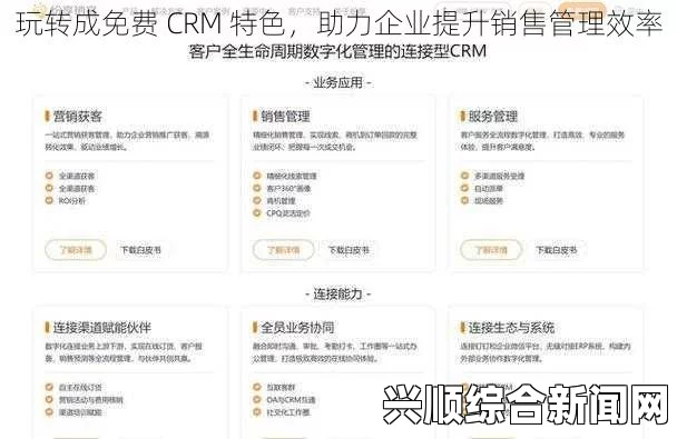 成免费CRM特色VIP：为中小企业提供高效低成本的客户管理解决方案，助力企业提升客户满意度与销售业绩