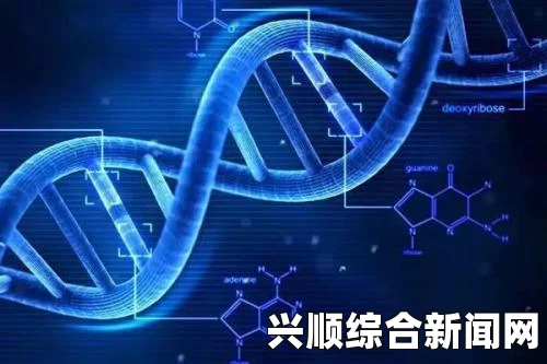 母亲的DNA与儿子的DNA是否完全一样？探讨遗传学中的基因传递与变异