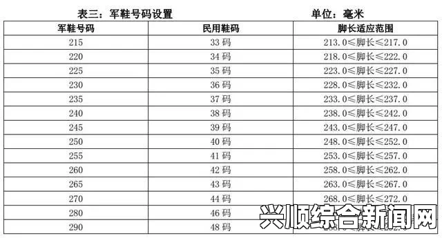 欧洲码和亚洲码的尺码区别是什么？如何选择合适的鞋码？——深入解析不同地区鞋码标准及选购技巧