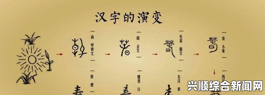 疯狂的少4：重写做爰BD之汉字究竟发生了哪些奇妙变化？探讨汉字演变对文化传承的影响