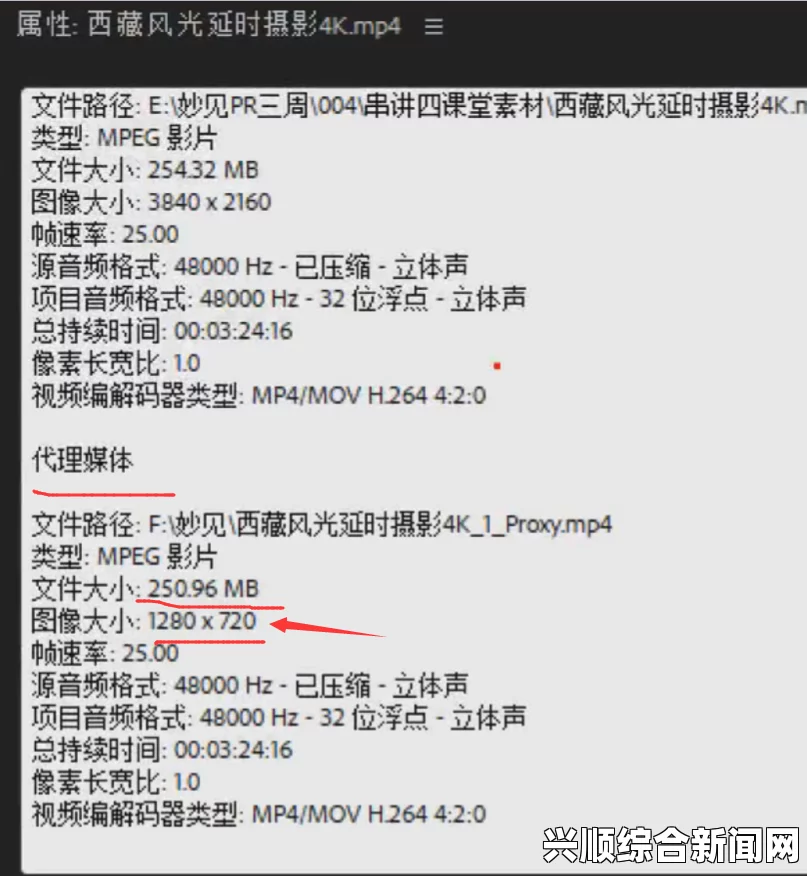 欧洲尺码日本尺码专线不卡顿，确保跨境购物无忧的高效服务体验——畅享全球购物乐趣，轻松获取心仪商品