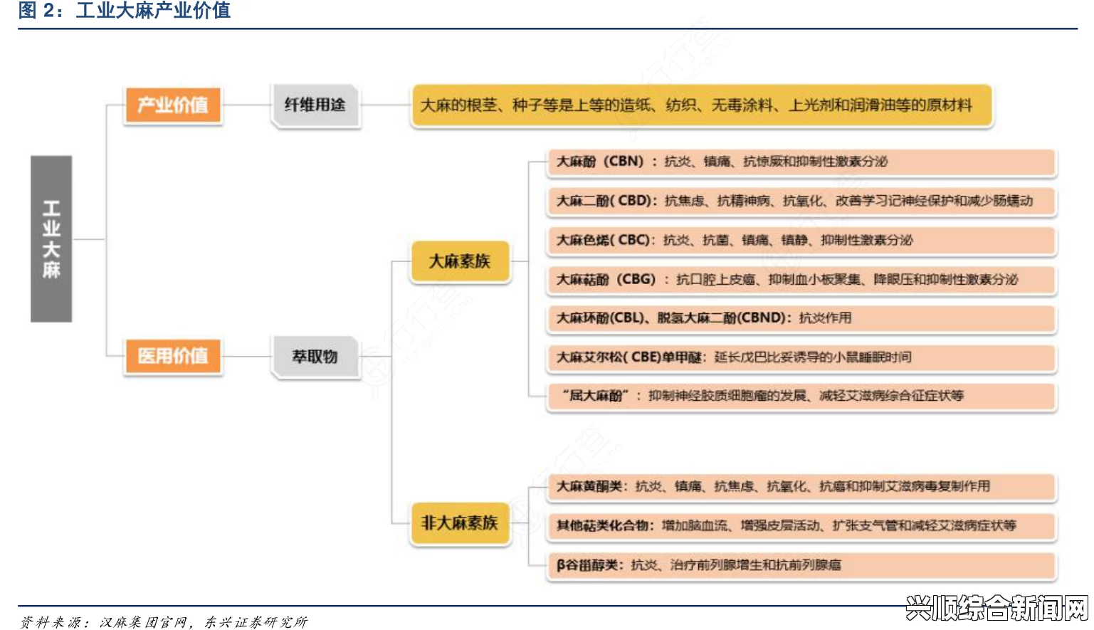 17ccom最新网站查询：如何有效找到并访问这个热门网站？掌握技巧轻松获取所需信息