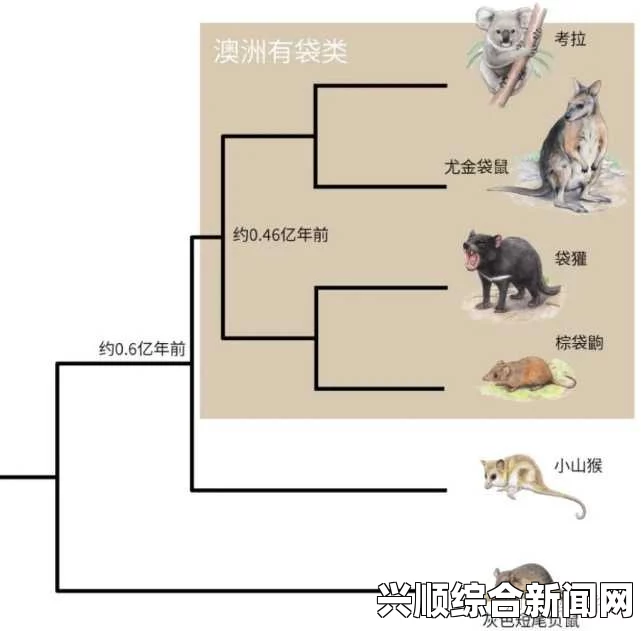 狗和人类DNA有何相似性与差异？为何它们之间的基因相似度如此引人关注？——探讨生物进化与亲缘关系的奥秘