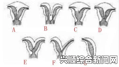 幼稚子宫的女性生育几率有多大？如何提高生育成功率？探讨影响因素与有效对策