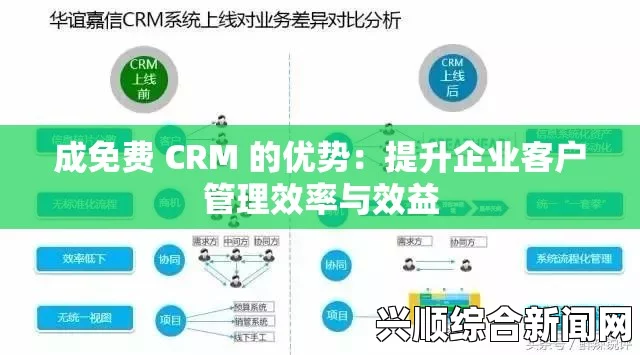 国内免费CRM系统如何帮助中小企业提高客户管理效率：从功能到选择技巧，全面提升客户关系与业务增长潜力