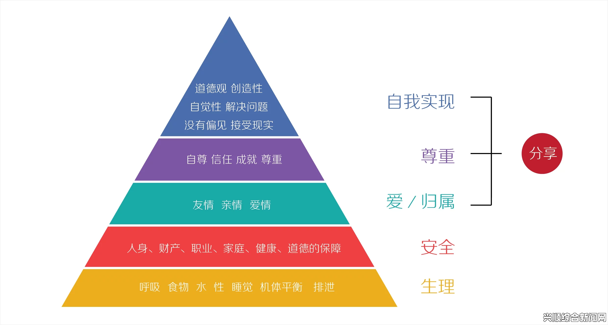 理论937的主要内容是什么？它是如何帮助理解和应用的？——深入探讨其核心概念与实际案例分析