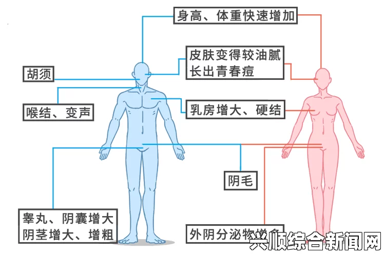 心理与生理的双重影响：性生活与感情的深层连接——探讨情感与身体健康之间的密切关系